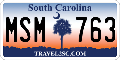 SC license plate MSM763