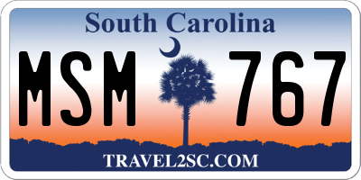 SC license plate MSM767
