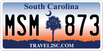 SC license plate MSM873