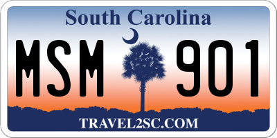 SC license plate MSM901