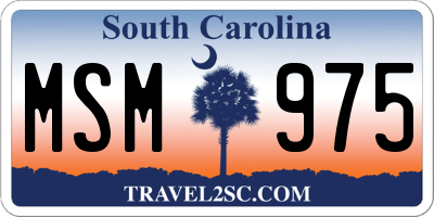 SC license plate MSM975