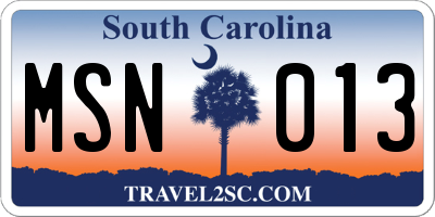 SC license plate MSN013