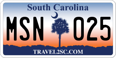 SC license plate MSN025