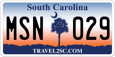 SC license plate MSN029