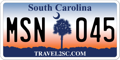 SC license plate MSN045