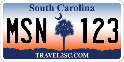 SC license plate MSN123