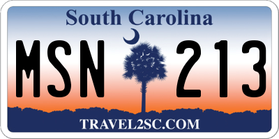 SC license plate MSN213