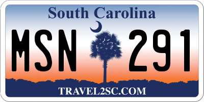 SC license plate MSN291