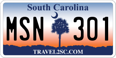 SC license plate MSN301