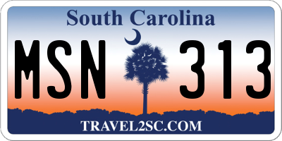 SC license plate MSN313