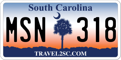 SC license plate MSN318