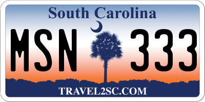 SC license plate MSN333
