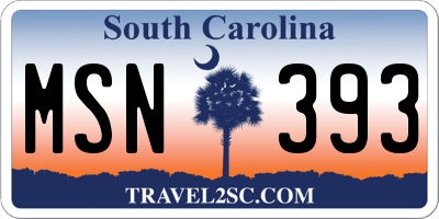 SC license plate MSN393