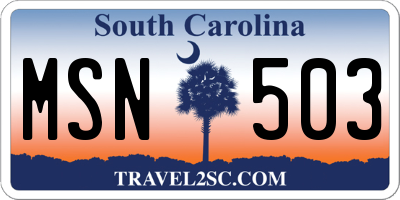 SC license plate MSN503