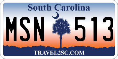 SC license plate MSN513