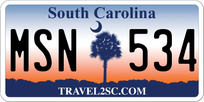 SC license plate MSN534