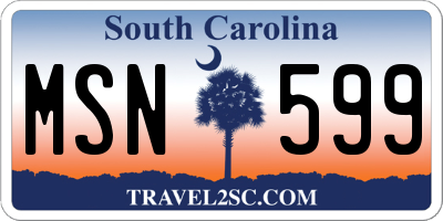 SC license plate MSN599