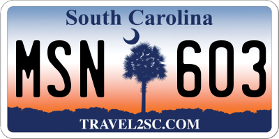 SC license plate MSN603