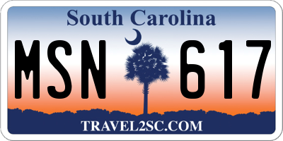 SC license plate MSN617