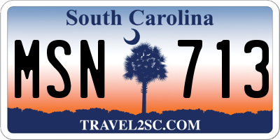 SC license plate MSN713