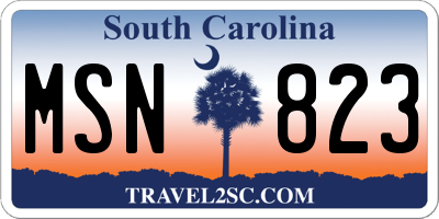 SC license plate MSN823