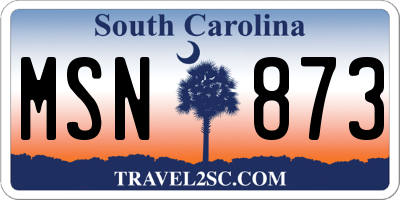SC license plate MSN873