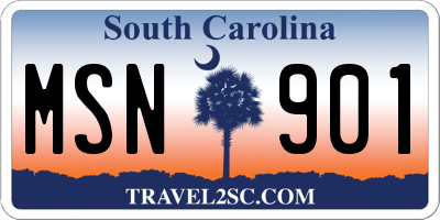 SC license plate MSN901