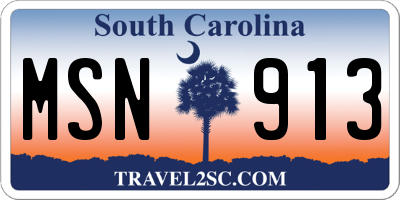 SC license plate MSN913