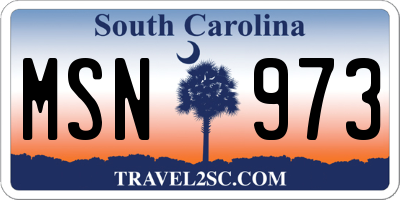 SC license plate MSN973