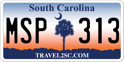 SC license plate MSP313