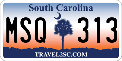 SC license plate MSQ313
