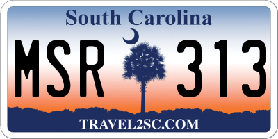 SC license plate MSR313