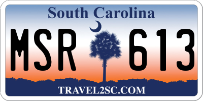 SC license plate MSR613