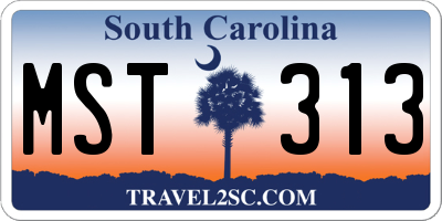 SC license plate MST313