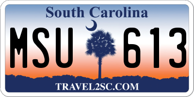 SC license plate MSU613
