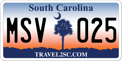 SC license plate MSV025