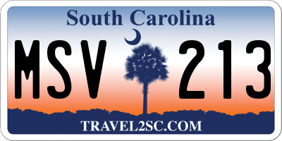 SC license plate MSV213