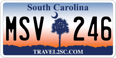 SC license plate MSV246