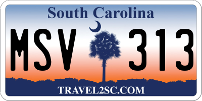 SC license plate MSV313