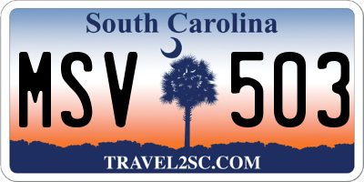 SC license plate MSV503