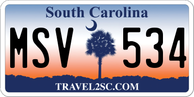 SC license plate MSV534