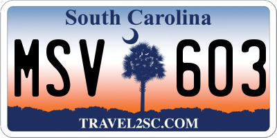 SC license plate MSV603