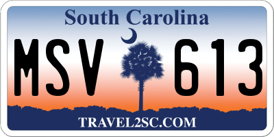 SC license plate MSV613