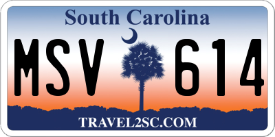 SC license plate MSV614