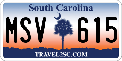 SC license plate MSV615