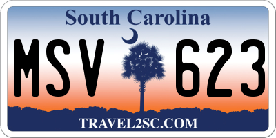 SC license plate MSV623