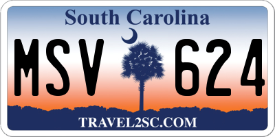 SC license plate MSV624
