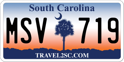 SC license plate MSV719