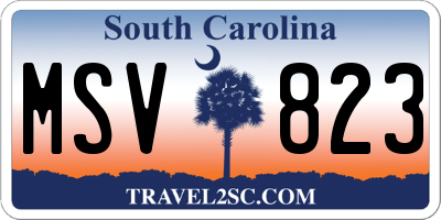 SC license plate MSV823