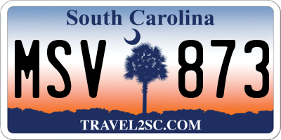 SC license plate MSV873